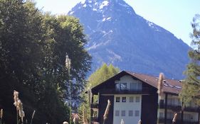 Uschi's Steinröschen